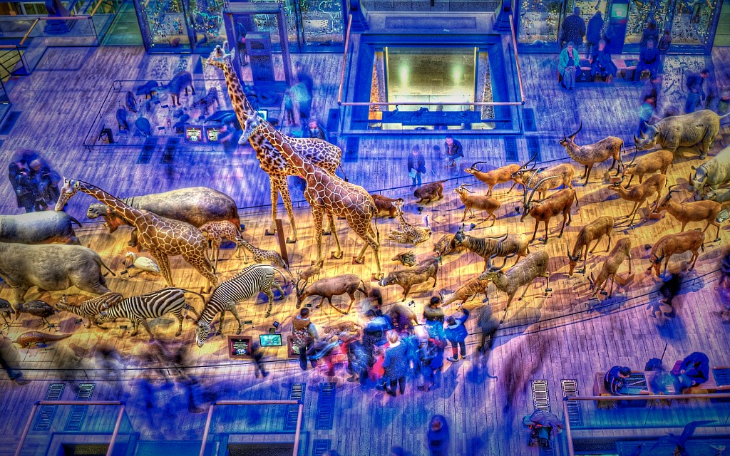 Galerie de l'évolution